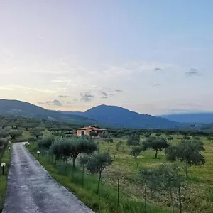 L'ulivo Villa